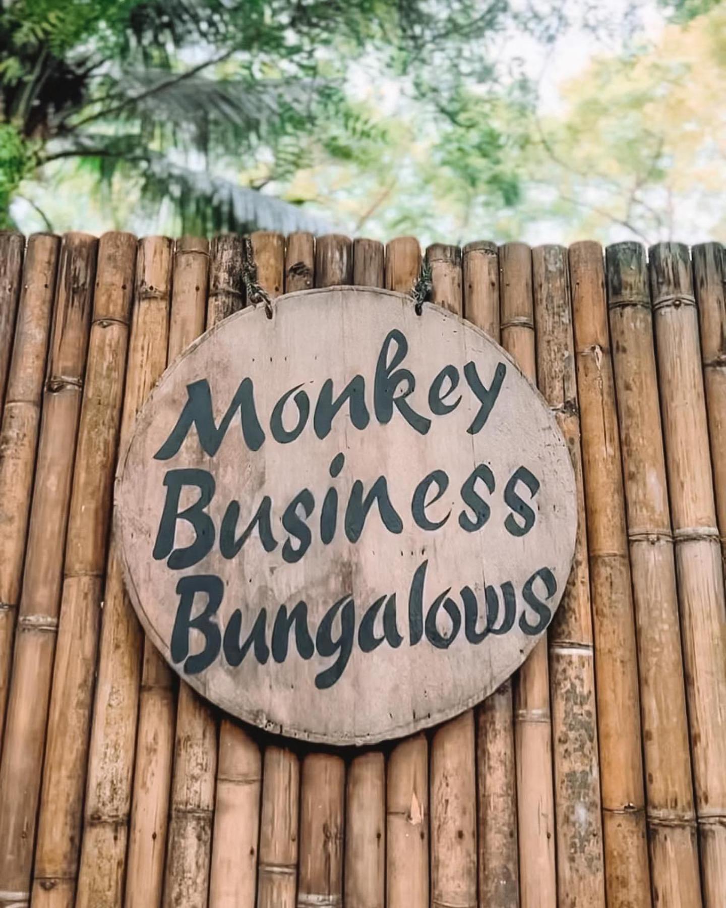 Hotel Monkey Business Siquijor Zewnętrze zdjęcie